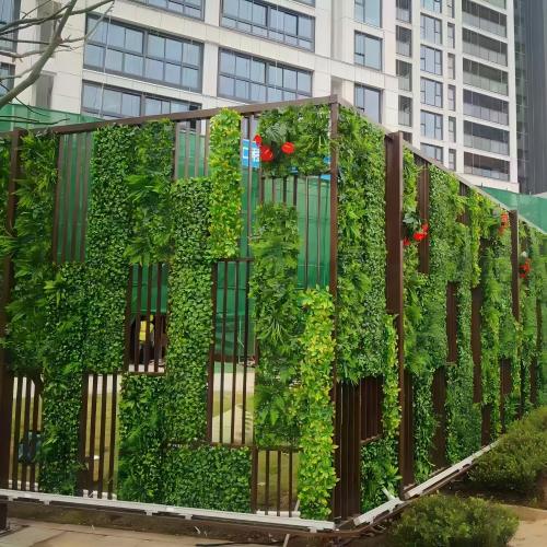 植物墙